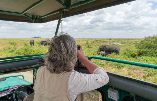Safari experience with Escape Tours