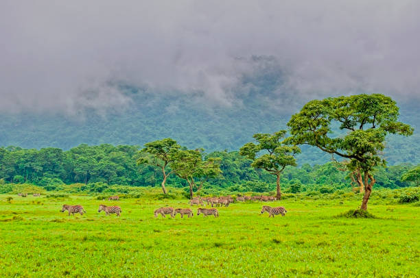 Arusha National Park