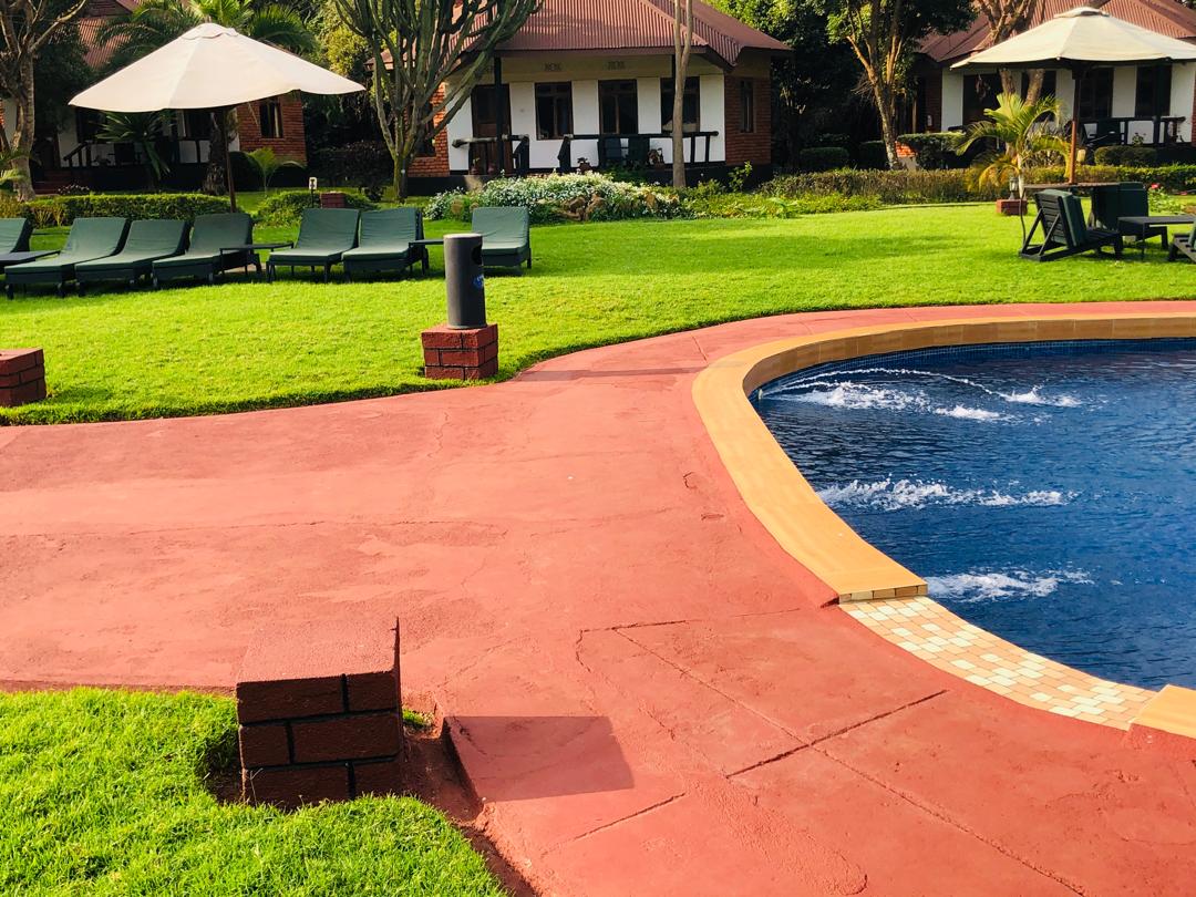 Swimming pool with sun loungers and garden views
