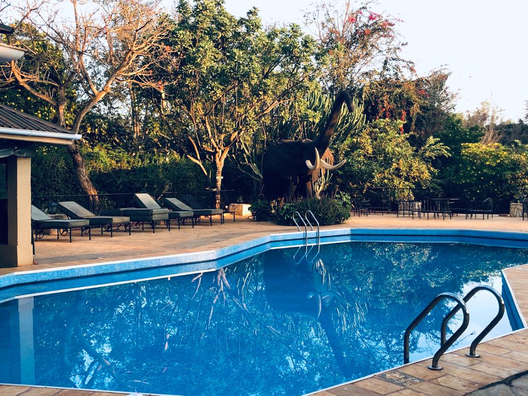 Kudu Lodge pool view