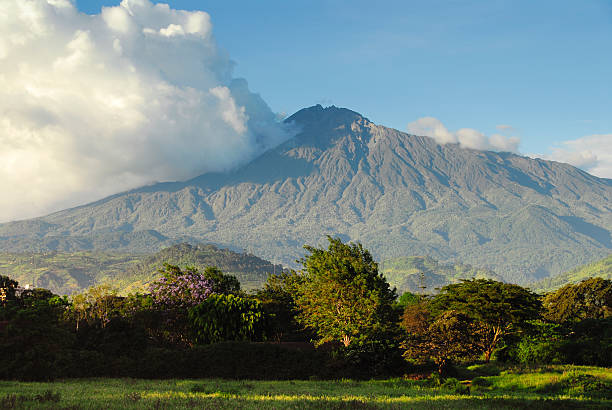 Mount Meru with lush vegetation in foreground