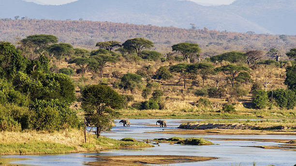 Southern Tanzania Safari