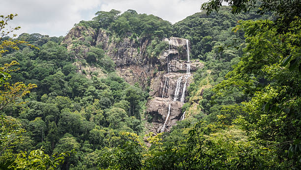 Udzungwa Mountains National Park
