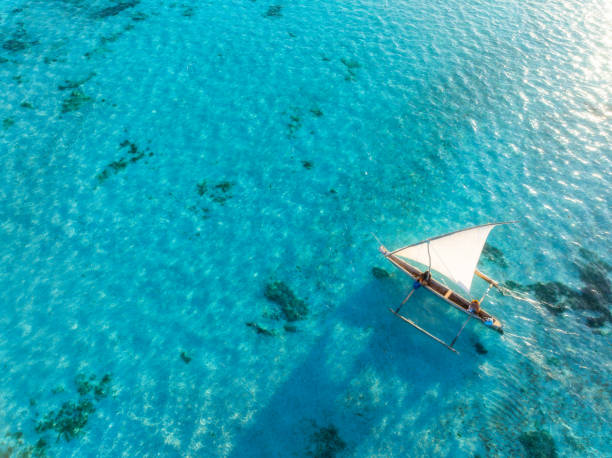 Zanzibar Beach Escape